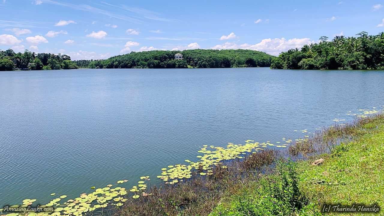 Uyanwatta Wewa (Reservoir)-image